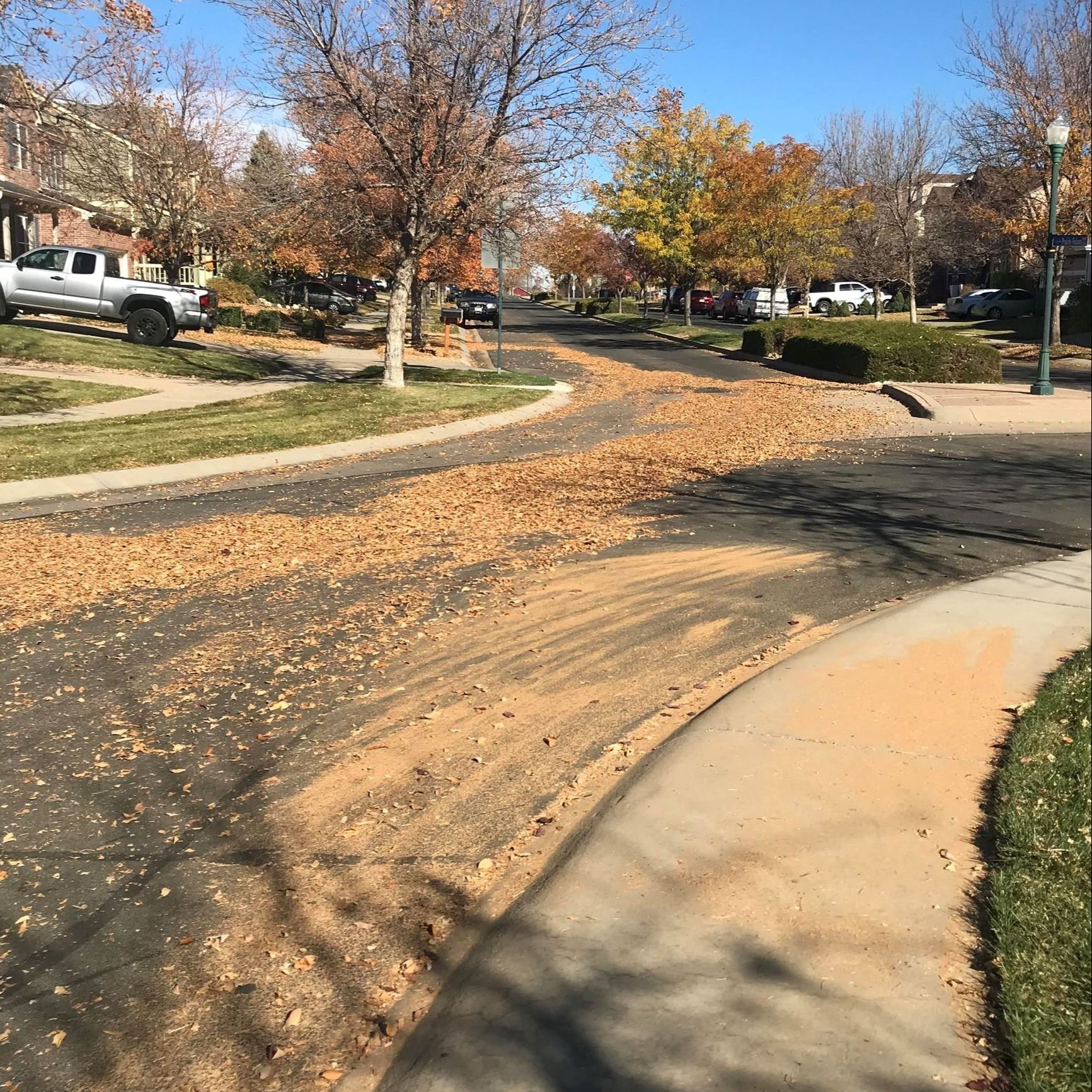 Leaves that were blown into the road from a residential home.