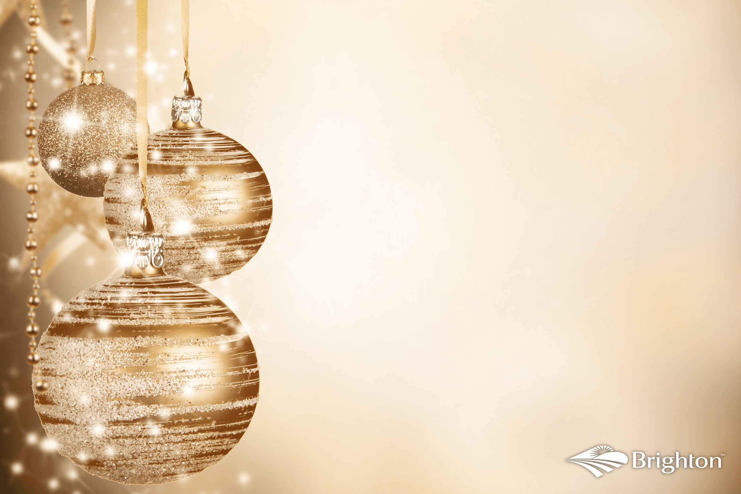 decorative image sr holiday celebration