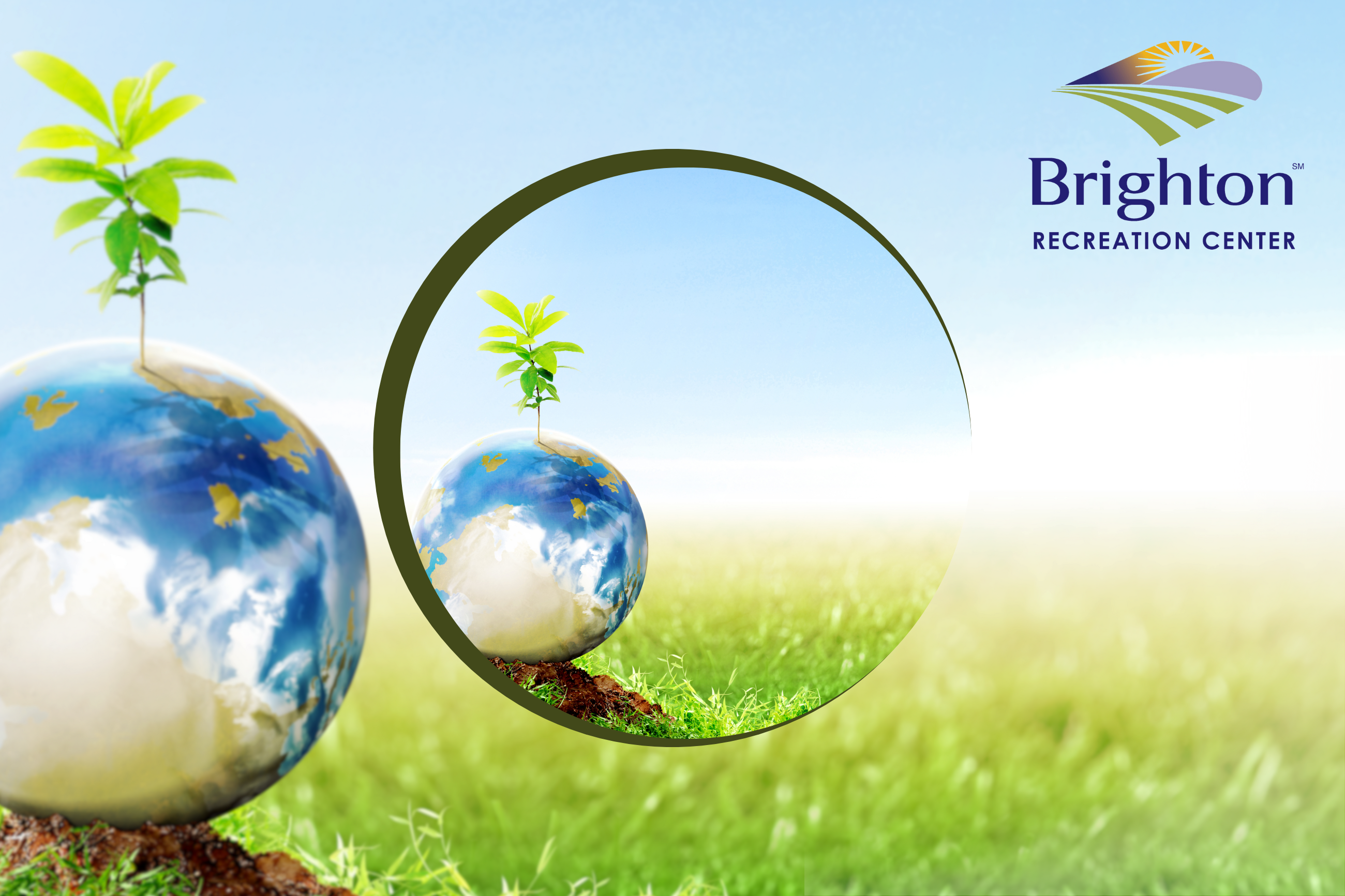 Decorative image seed swap