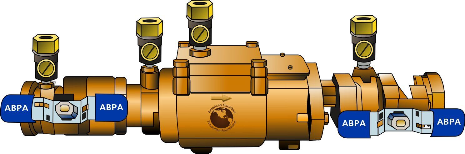 Double Check Valve Assembly