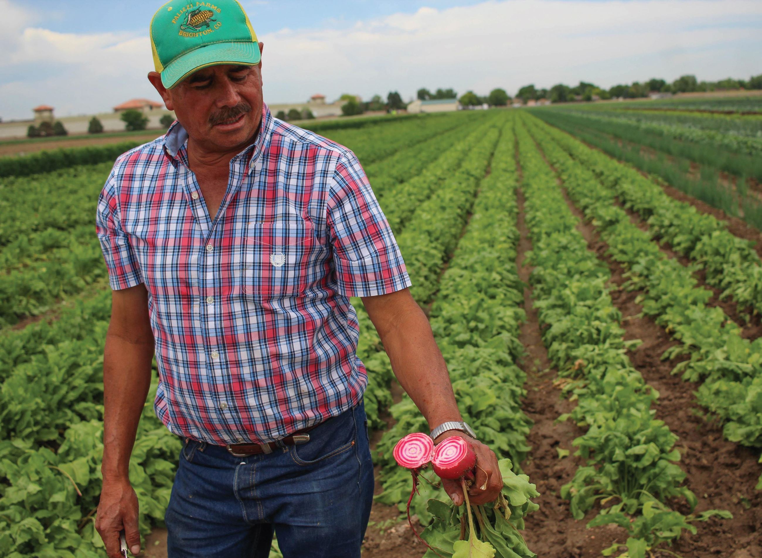 A farmer, Jose, holding a beet that has been sliced in half. behind him is a field full of crops.
