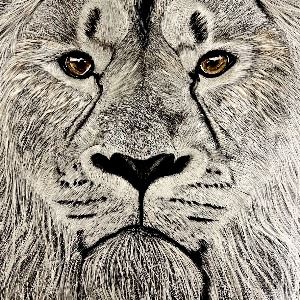 GoldenIntensity 24x18 Scratchboard