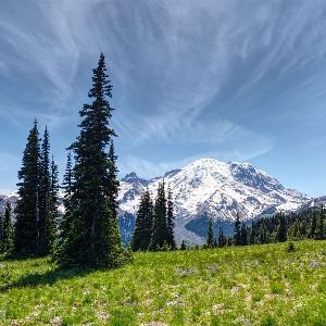 Mt Rainer Paradise Meadow - Jul 17 2020 - Apple Photos low res (1)