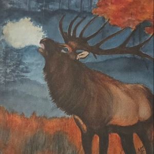 Bugling Elk (1)