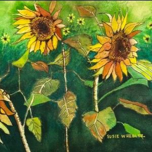 Sunflowers